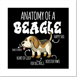 ANATOMY OF A BEAGLE Posters and Art